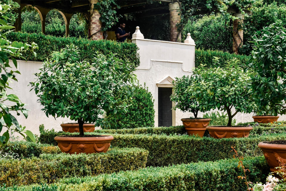 baca-paysage-jardin