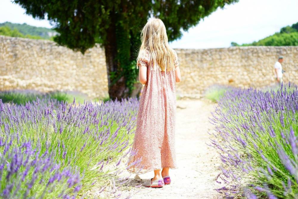 baca-paysage-jardin