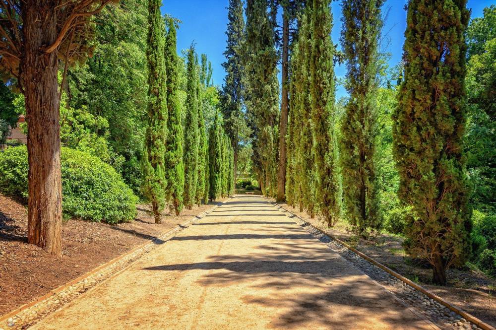 baca-paysage-20